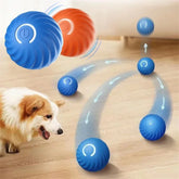 Rolling Ball Dog Toy-Sale✨
