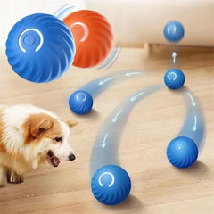 Rolling Ball Dog Toy-Sale✨