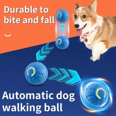 Rolling Ball Dog Toy-Sale✨